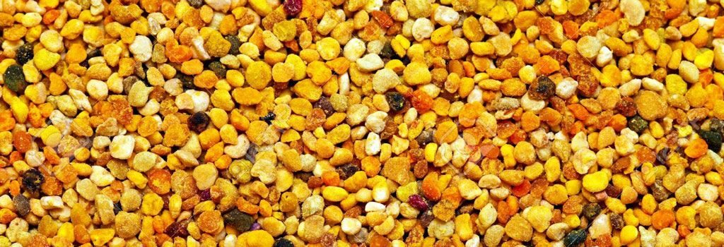 propolis, propolis nedir, propolis fiyatı, propolis damla, propolis kullanımı, propolis damla fiyatı, propolis nerede satılır, doğal propolis, saf propolis, propolis kremi, propolis satış, propolis damla nedir, propolis kapsül, propolis ürünleri, propolis satın al, propolis markaları, propolis nerede bulunur, en iyi propolis, propolis kanser, toz propolis